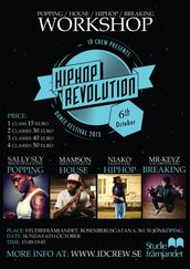Hiphop revolution festival 2013 Workshop